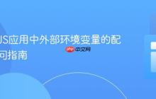 React JS应用中外部环境变量的配置与访问指南