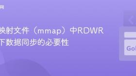 内存映射文件（mmap）中RDWR模式下数据同步的必要性