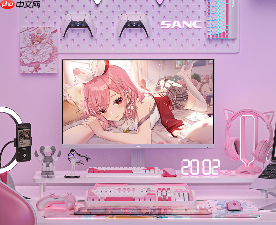 盛色推出新款24.5寸显示器:1080P 320Hz屏补贴价806元