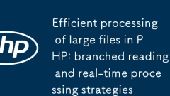 PHP での大きなファイルの効率的な処理: 分岐読み取りとリアルタイム処理戦略