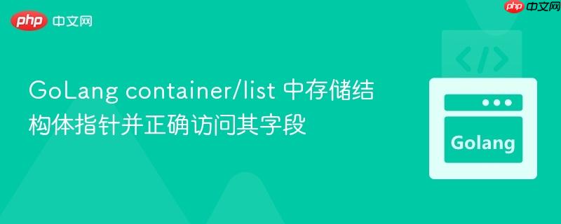 GoLang container/list 中存储结构体指针并正确访问其字段
