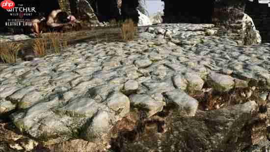 《巫师3》HD重制项目2026版公布！画面再进化！