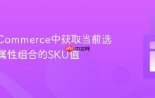 在nopCommerce中获取当前选中产品属性组合的SKU值