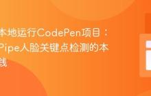如何在本地运行CodePen项目：MediaPipe人脸关键点检测的本地化实践