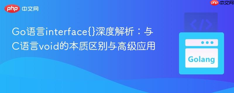 Go语言interface{}深度解析:与C语言void的本质区别与高级应用