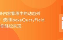 如何解决内容管理中的动态列表难题，使用IbexaQueryFieldType助你轻松实现