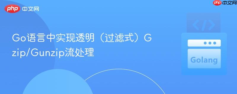 go语言中实现透明(过滤式)gzip/gunzip流处理
