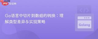 Go语言中切片到数组的转换：理解类型差异与实现策略
