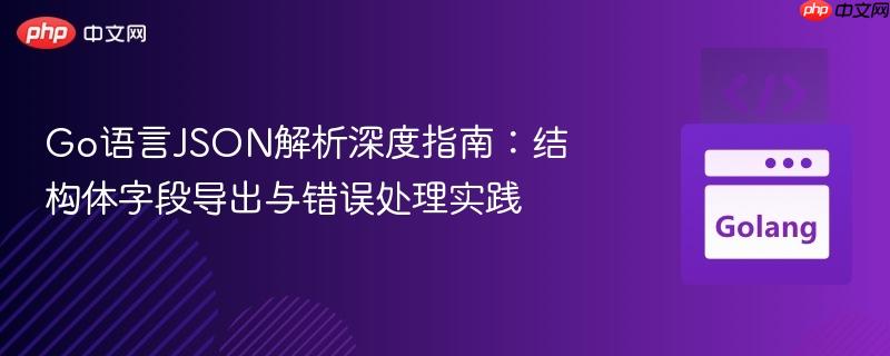 go语言json解析深度指南:结构体字段导出与错误处理实践