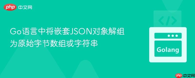go语言中将嵌套json对象解组为原始字节数组或字符串