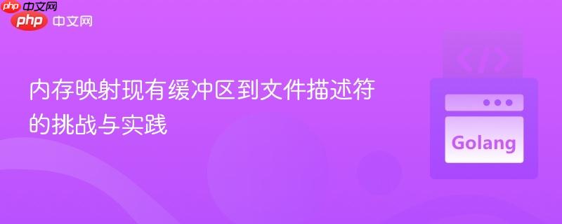 内存映射现有缓冲区到文件描述符的挑战与实践
