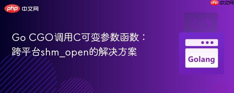 Go CGO调用C可变参数函数：跨平台shm_open的解决方案
