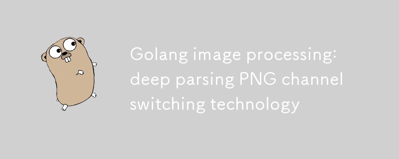Golang 이미지 처리: PNG 채널 교환 기술에 대한 심층 분석