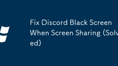画面共有時のDiscordの黒い画面を修正（解決済み）