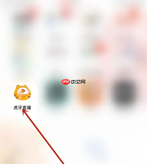 《虎牙直播》会员充值方法