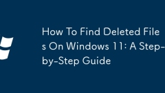 Windows 11 で削除されたファイルを見つける方法: ステップバイステップ ガイド