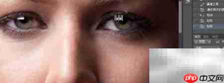 PS教程：轻松打造眼神光