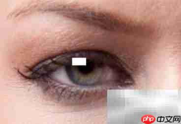 PS教程：轻松打造眼神光