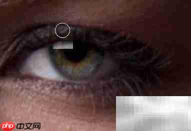 PS教程：轻松打造眼神光