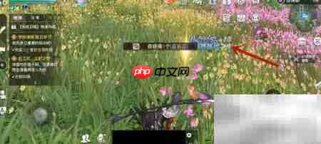 天谕手游灵巧值获取攻略