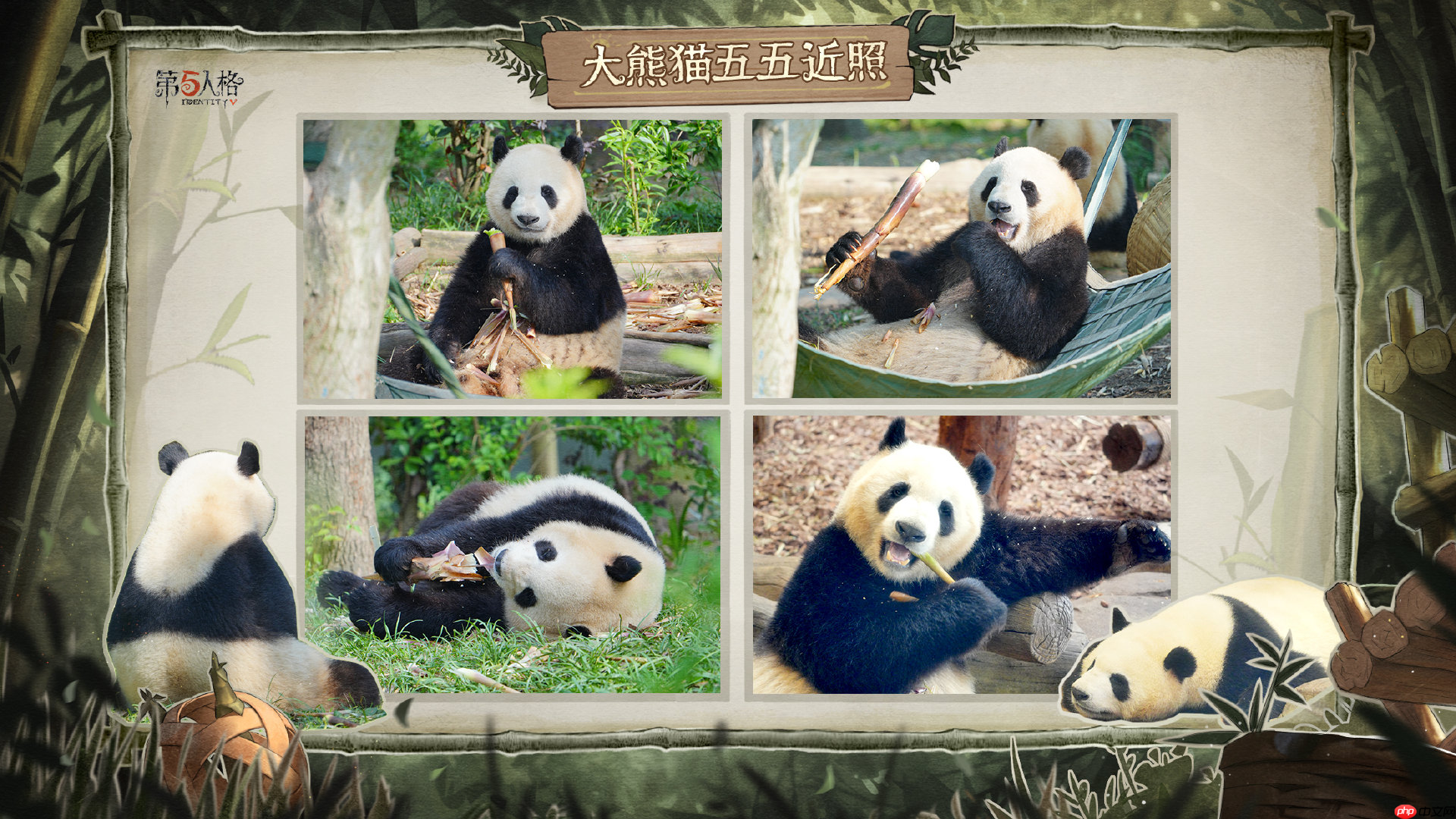 第五人格熊猫系列时装外观一览