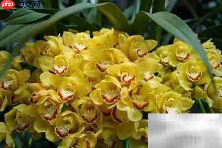 昆明世博园游玩全攻略