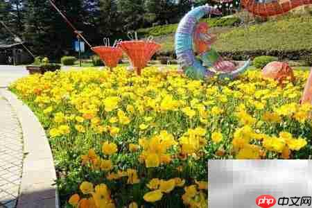 昆明世博园游玩全攻略