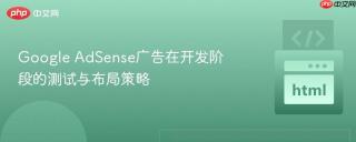 Google AdSense广告在开发阶段的测试与布局策略