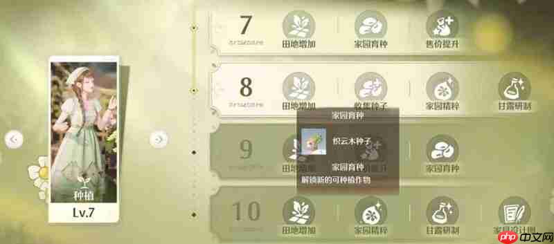 《无限暖暖》家园升级顺序介绍