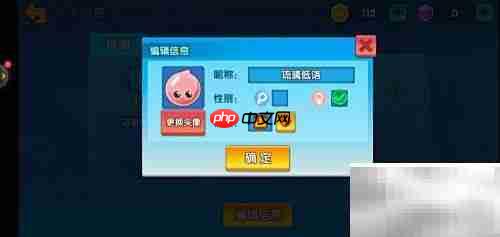 小兵大乱斗性别设置方法