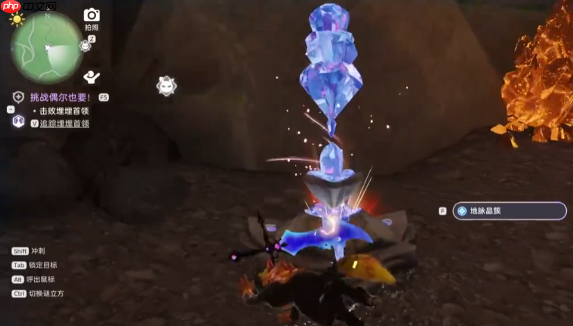 《伊莫》簇脊背龙捕捉攻略