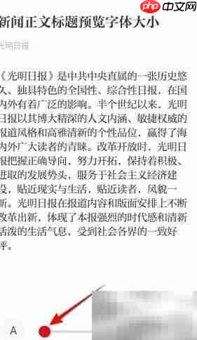光明日报小字体设置方法