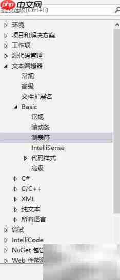 VS2019修改Basic制表符大小