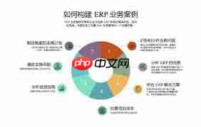 ERP管理软件实施步骤是什么