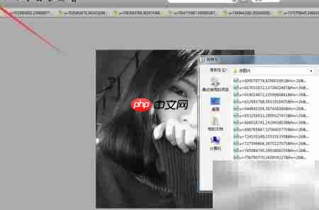 舞蝶飞创意照片变单色教程
