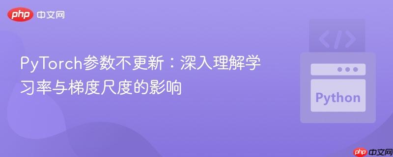 PyTorch参数不更新：深入理解学习率与梯度尺度的影响
