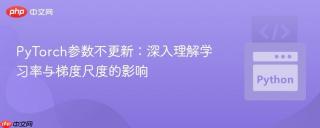PyTorch参数不更新：深入理解学习率与梯度尺度的影响