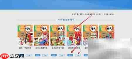 人教版电子教材在线阅读指南