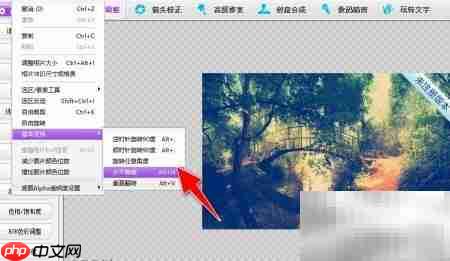 彩影镜像教程：一键左右翻转图片