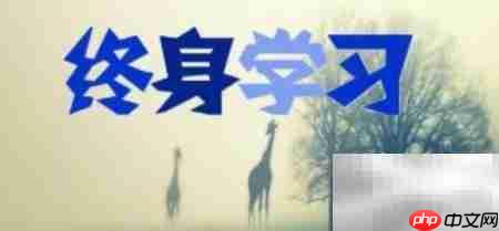 外贸人老去后的职业转型