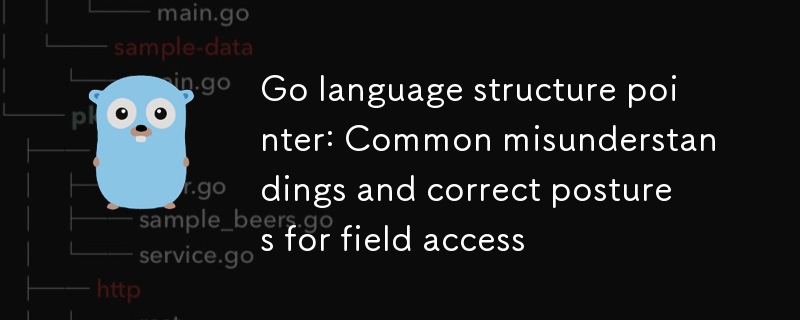 Go语言结构体指针：字段访问的常见误区与正确姿势