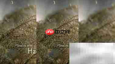 荣耀盒子Voice：4K电视与网络要求解析