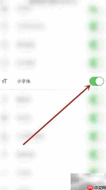 人生笔记小字体开启方法