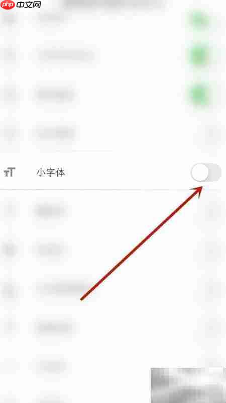人生笔记小字体开启方法