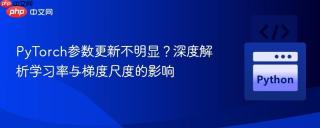 PyTorch参数更新不明显？深度解析学习率与梯度尺度的影响