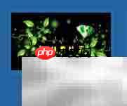 绿钻免费领空间播放器