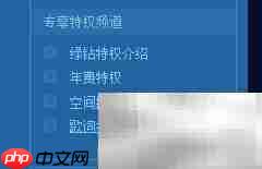 绿钻免费领空间播放器