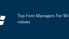 Windows 用のトップ フォント マネージャー
