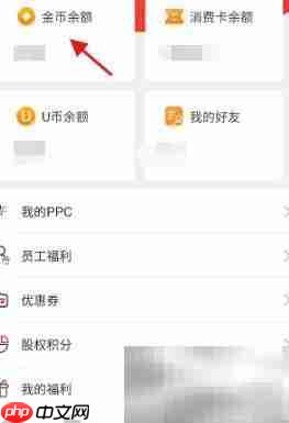 新先视金币兑换PPC指南