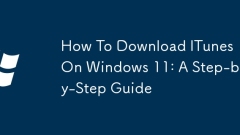 Windows 11 で ITunes をダウンロードする方法: ステップバイステップ ガイド